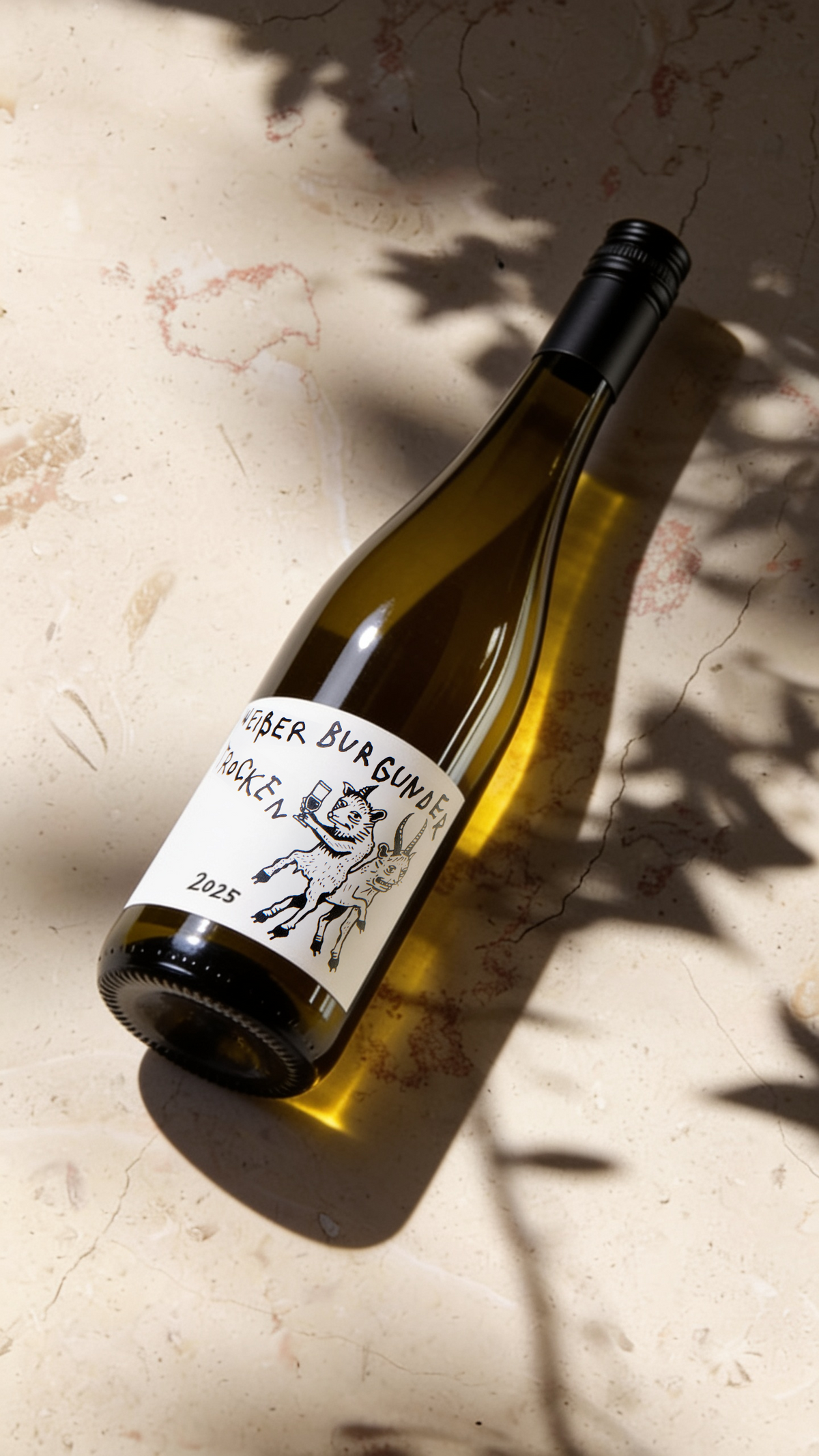 Stil vor Talent Wine⸺Organic Pinot Blanc