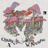 SVT084 Channel X | Wonderland - CD